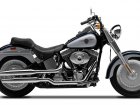 1999 Harley-Davidson Harley Davidson FLSTF/I Fat Boy